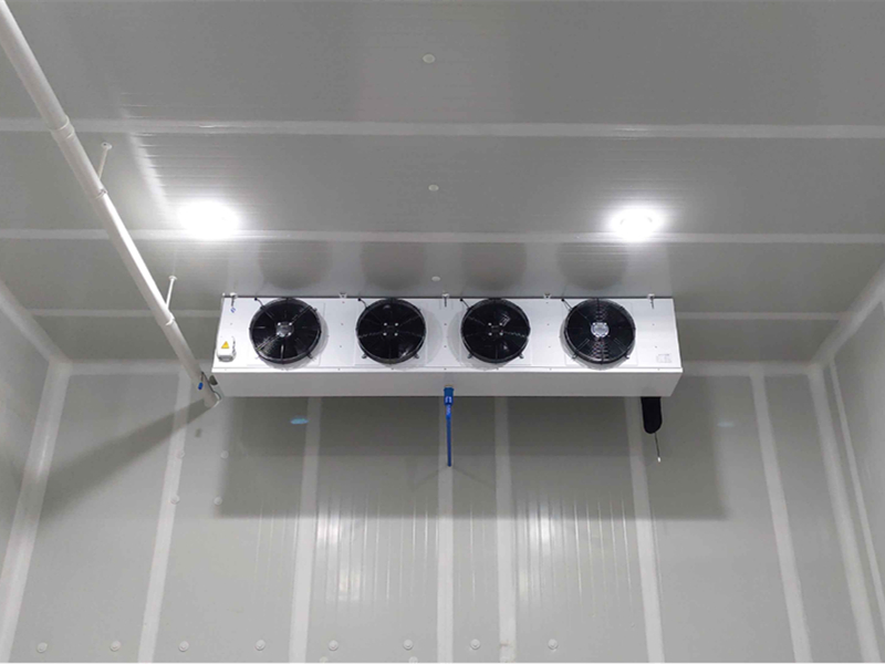 �����ؿ����