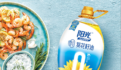 保险产品质量与安全