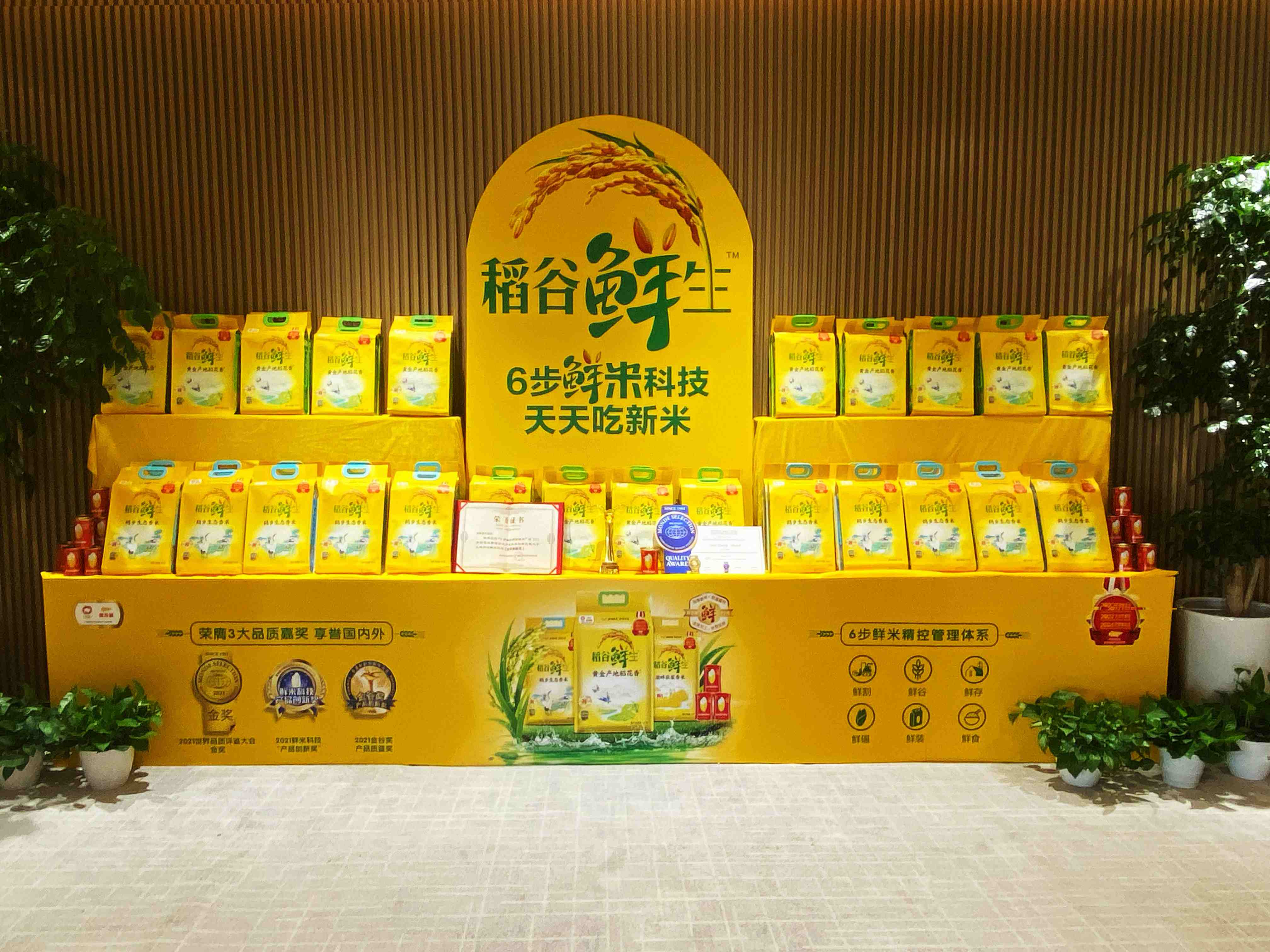 六步锁鲜2 六步锁鲜2
